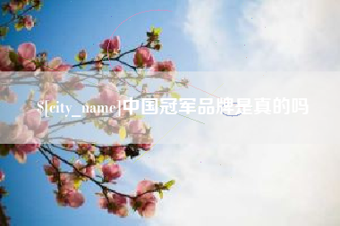 孝昌中国冠军品牌是真的吗