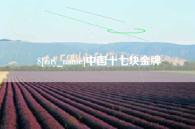 孝昌中国十七块金牌