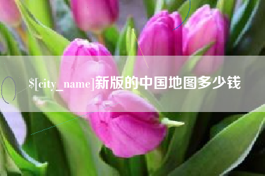 孝昌新版的中国地图多少钱