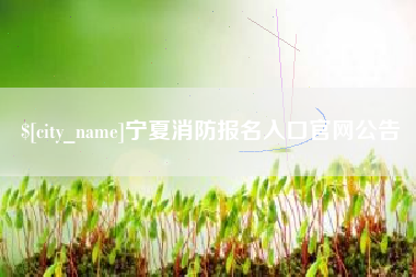 孝昌宁夏消防报名入口官网公告