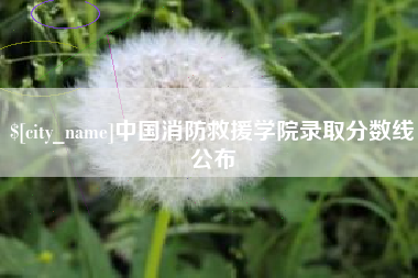 孝昌中国消防救援学院录取分数线公布