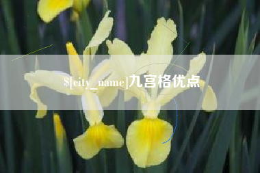 孝昌九宫格优点
