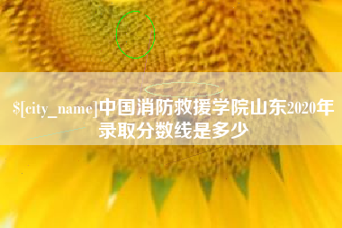 孝昌中国消防救援学院山东2020年录取分数线是多少