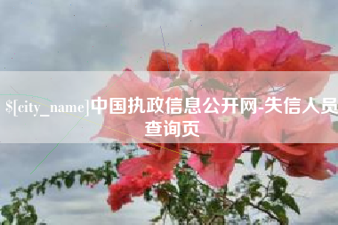 孝昌中国执政信息公开网-失信人员查询页