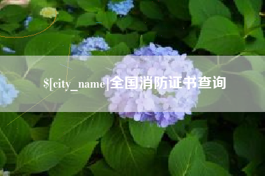 孝昌全国消防证书查询