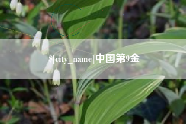 孝昌中国第9金