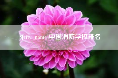 孝昌中国消防学校排名