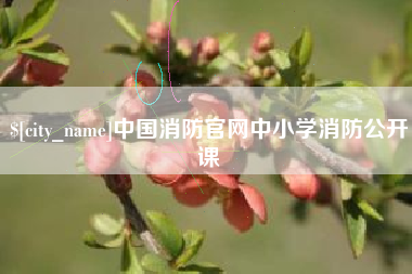 孝昌中国消防官网中小学消防公开课
