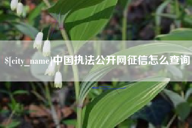 孝昌中国执法公开网征信怎么查询