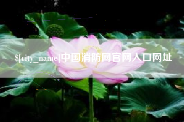 孝昌中国消防网官网入口网址