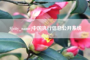 孝昌中国执行信息公开系统