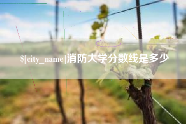 孝昌消防大学分数线是多少