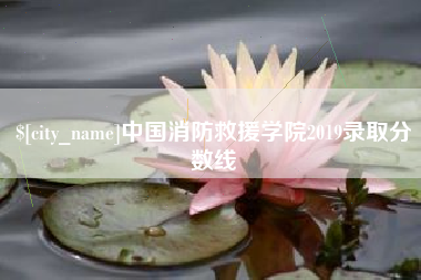 孝昌中国消防救援学院2019录取分数线