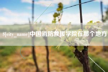 孝昌中国消防救援学院在那个地方