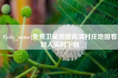 孝昌免费卫星地图高清村庄地图看到人实时下载