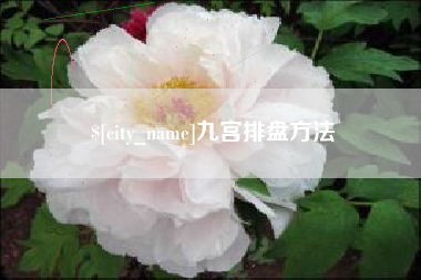 孝昌九宫排盘方法