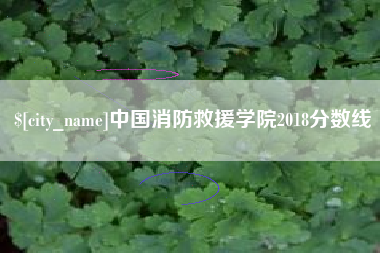 孝昌中国消防救援学院2018分数线