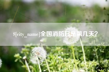 孝昌全国消防日是第几天？