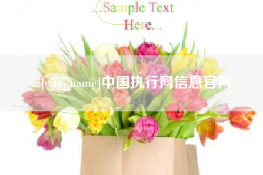 孝昌中国执行网信息官网