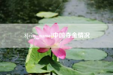 孝昌中国夺金情况