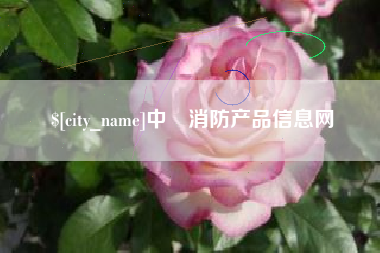 孝昌中囯消防产品信息网