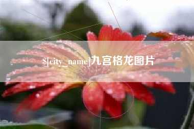 孝昌九宫格龙图片