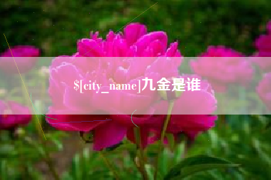 孝昌九金是谁
