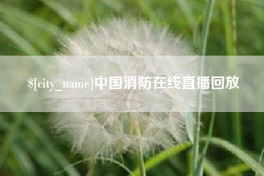孝昌中国消防在线直播回放