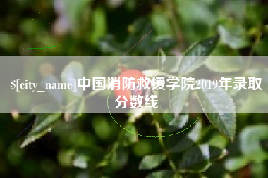 孝昌中国消防救援学院2019年录取分数线