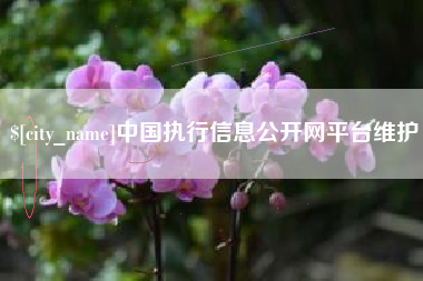 孝昌中国执行信息公开网平台维护