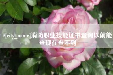 孝昌消防职业技能证书查询以前能查现在查不到
