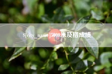 孝昌5000米及格成绩
