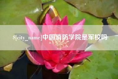 孝昌中国消防学院是军校吗