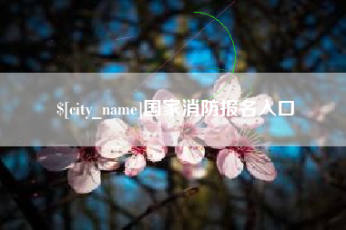 孝昌国家消防报名入口