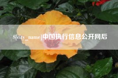 孝昌中国执行信息公开网后