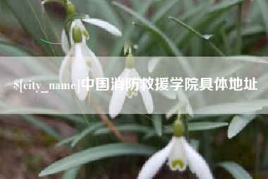 孝昌中国消防救援学院具体地址