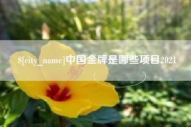 孝昌中国金牌是哪些项目2021