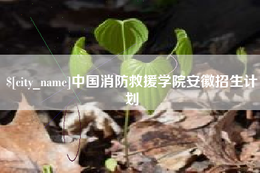 孝昌中国消防救援学院安徽招生计划