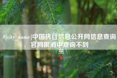 孝昌中国执行信息公开网信息查询官网限消中查询不到