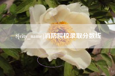 孝昌消防院校录取分数线