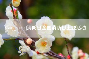 孝昌消防日全国消防日主题活动