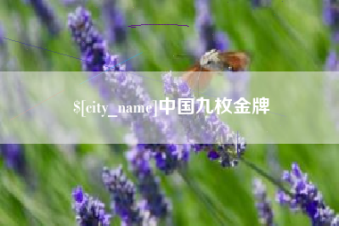 孝昌中国九枚金牌