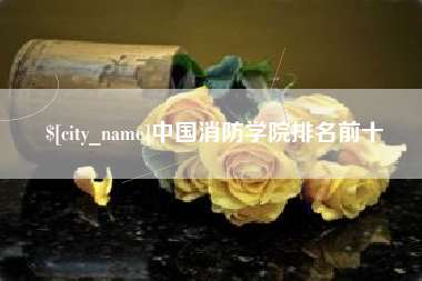 孝昌中国消防学院排名前十