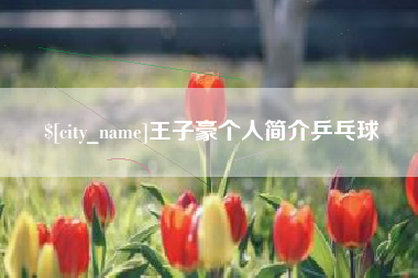 孝昌王子豪个人简介乒乓球