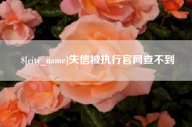 孝昌失信被执行官网查不到