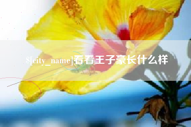 孝昌看看王子豪长什么样