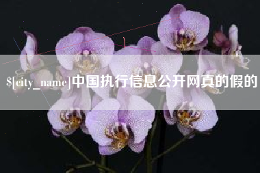 孝昌中国执行信息公开网真的假的