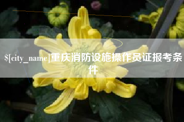 孝昌重庆消防设施操作员证报考条件
