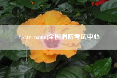 孝昌全国消防考试中心