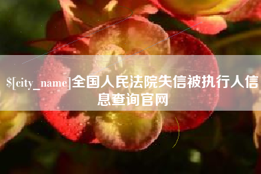 孝昌全国人民法院失信被执行人信息查询官网